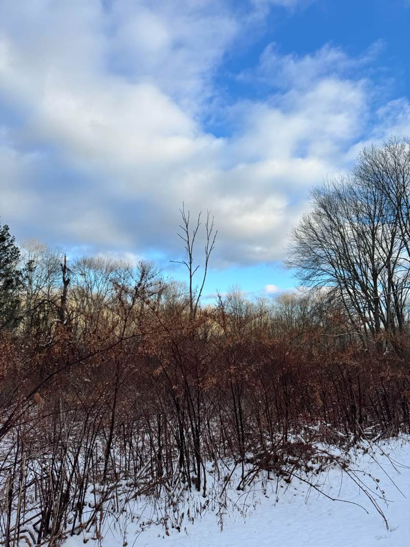 walking near me in Pound Ridge Town Park in winter