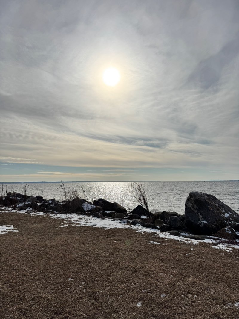 walking near me in Greenwich Point Park in winter