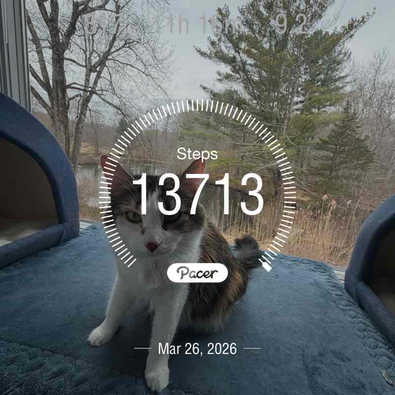 Darlene🇺🇸🙏🏻🇮🇱🇺🇦🌎🏖♊️💜 post 1