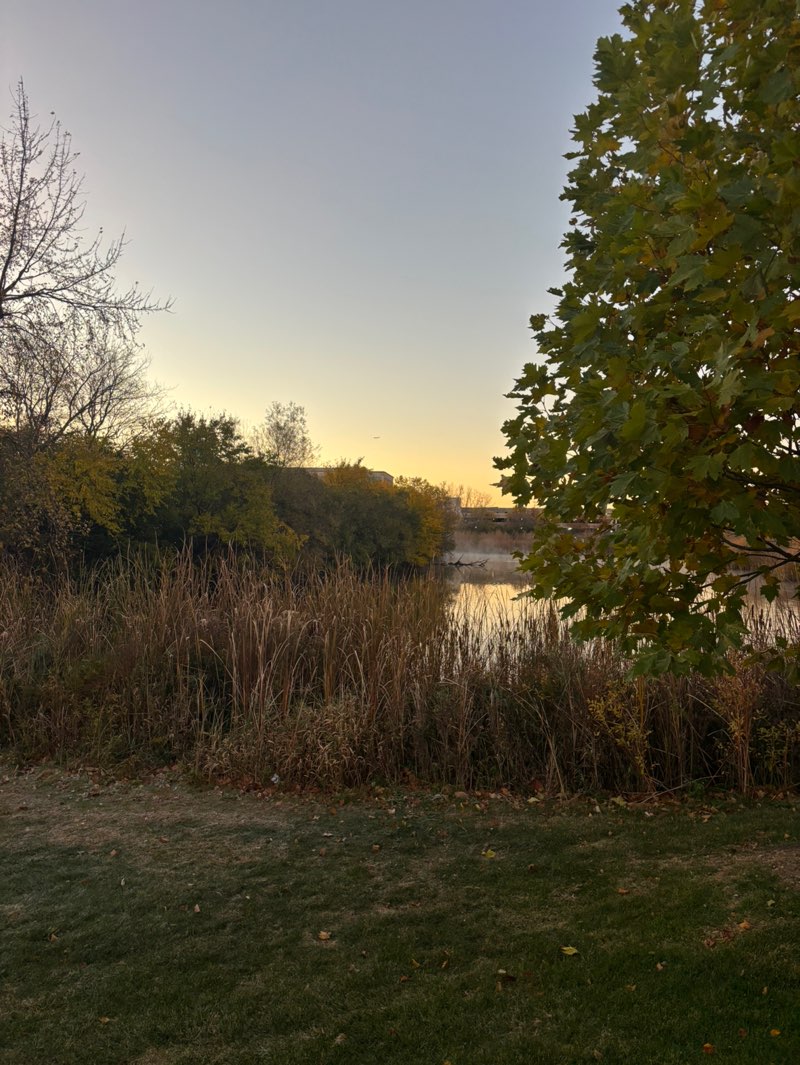 walking near me in Connelly Park in autumn