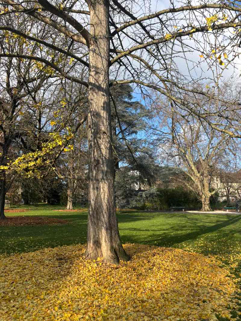 walking near me in Parc des Cropettes in autumn