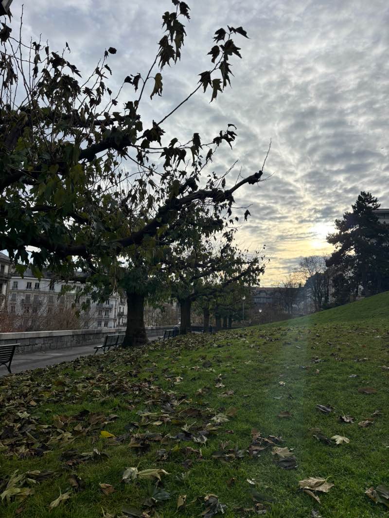 walking near me in Promenade de l'Observatoire in winter