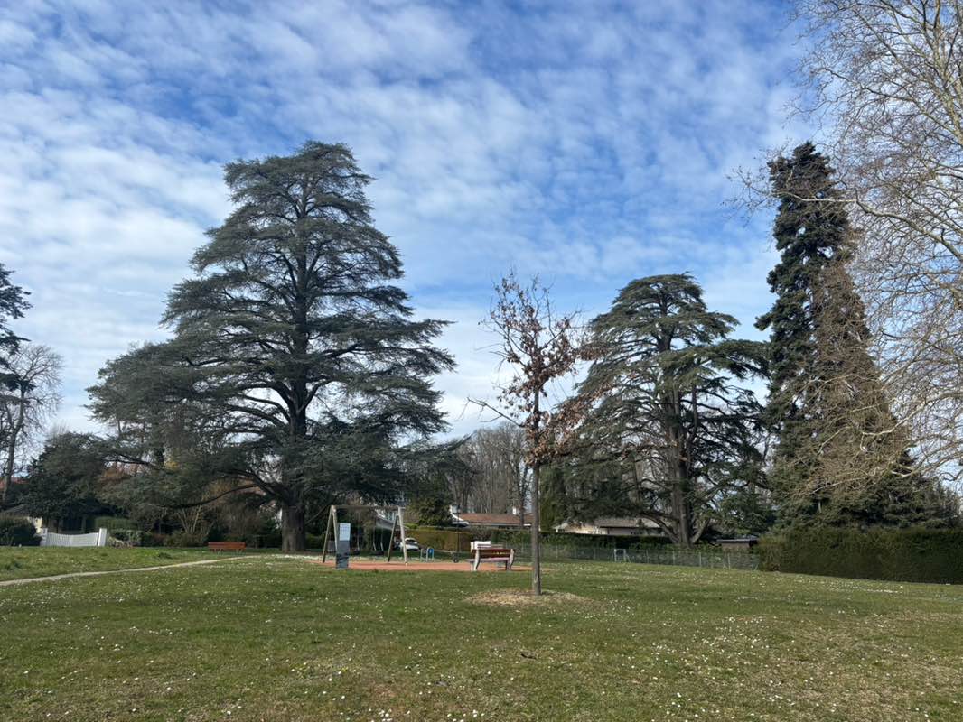 walking near me in Parc St-Loup in spring