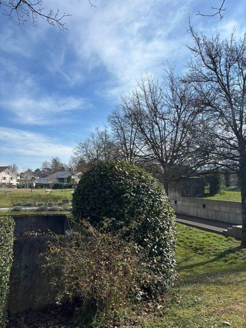 walking near me in Parc de la Mairie in spring