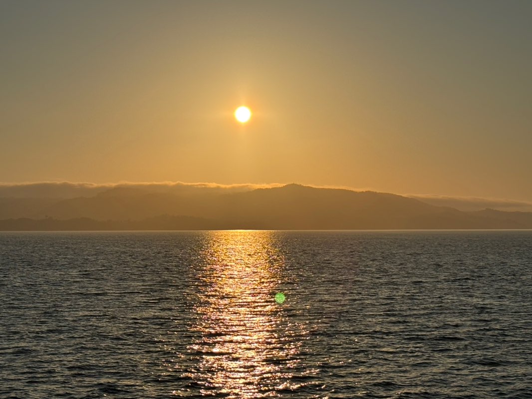 walking near me in Nordnesparken in autumn