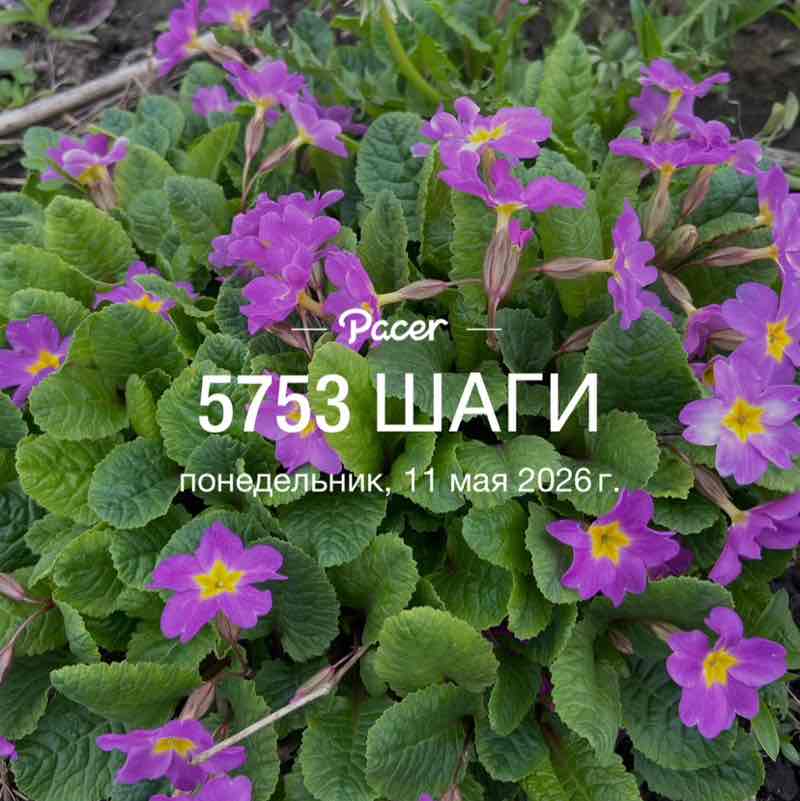 💃🏼💃🏼Елена✌️💃🏼 post 1