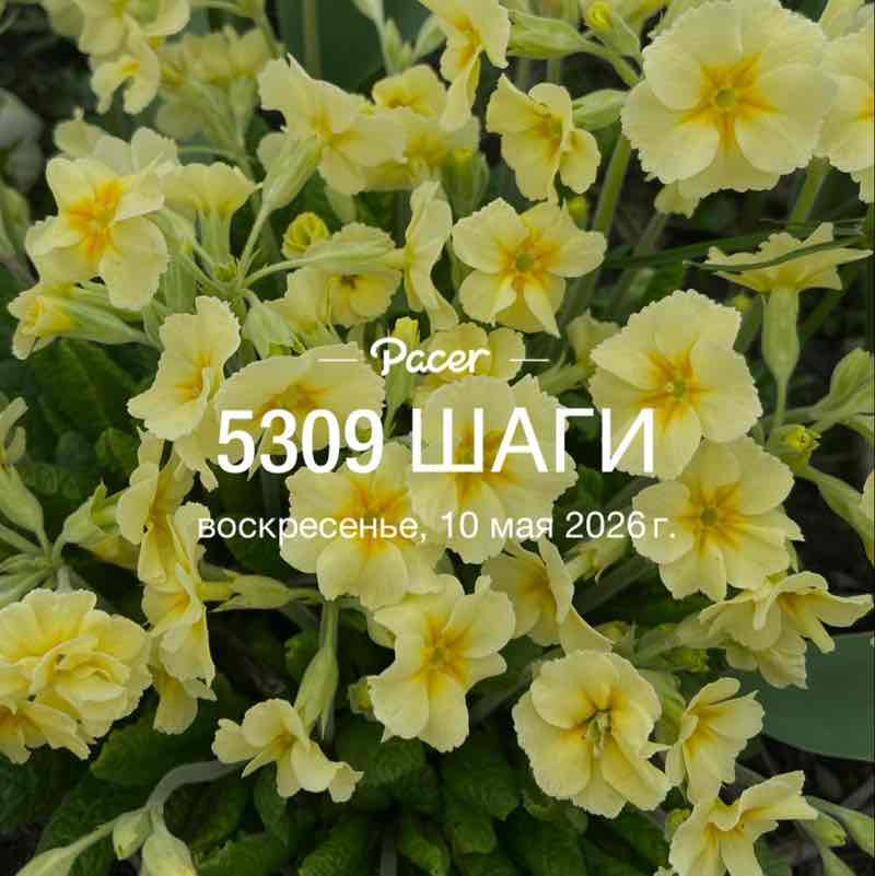 💃🏼💃🏼Елена✌️💃🏼 post 1