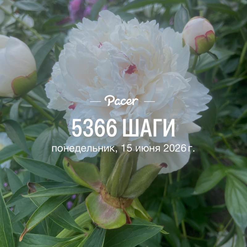 💃🏼💃🏼Елена✌️💃🏼 post 1