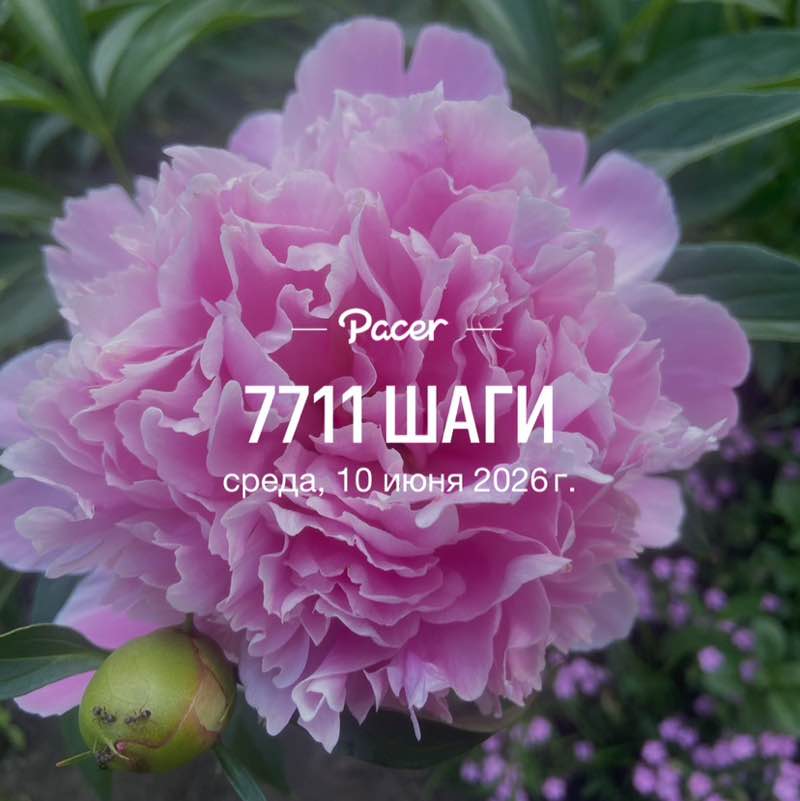 💃🏼💃🏼Елена✌️💃🏼 post 1