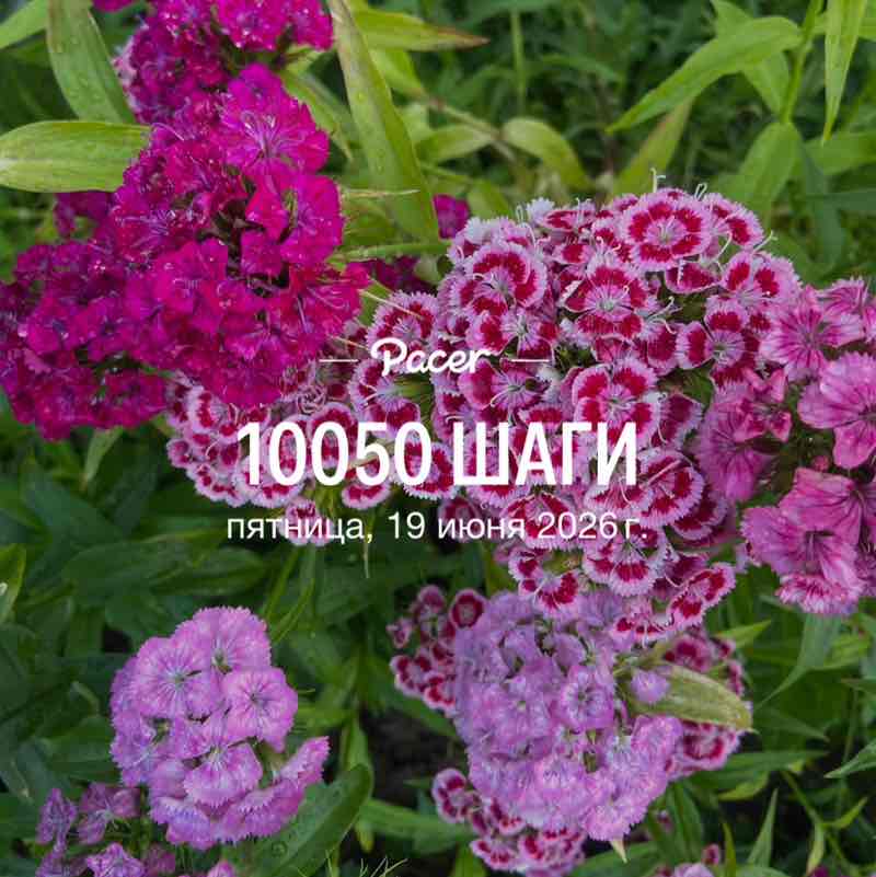 💃🏼💃🏼Елена✌️💃🏼 post 1