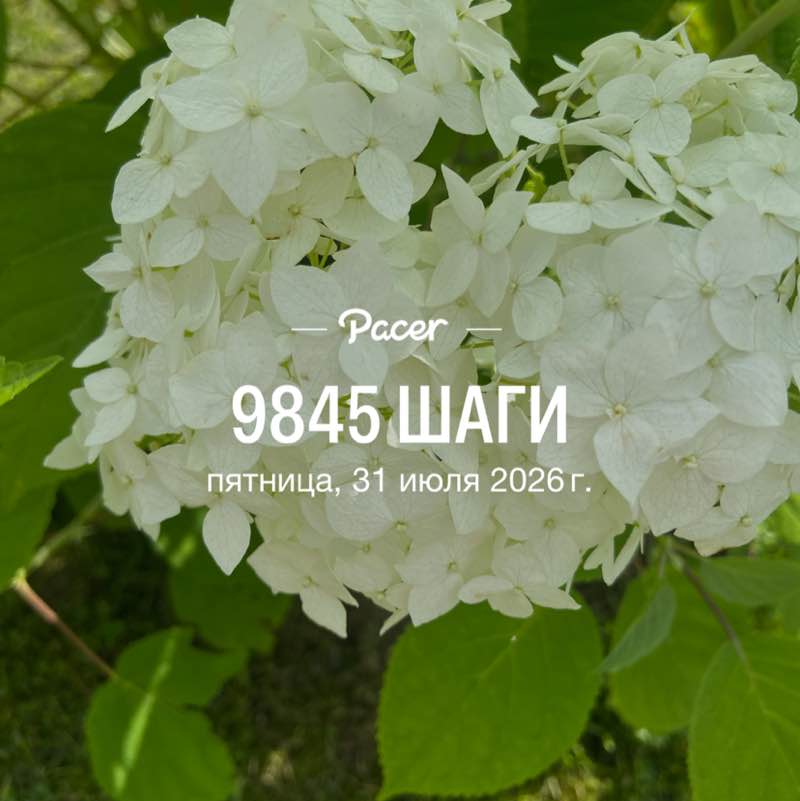 💃🏼💃🏼Елена✌️💃🏼 post 1