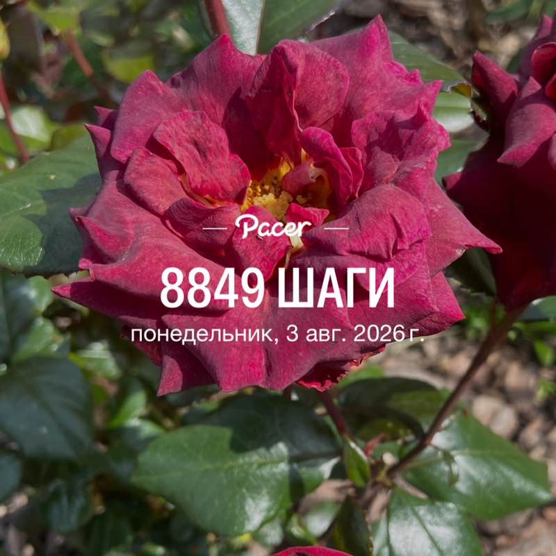 💃🏼💃🏼Елена✌️💃🏼 post 1