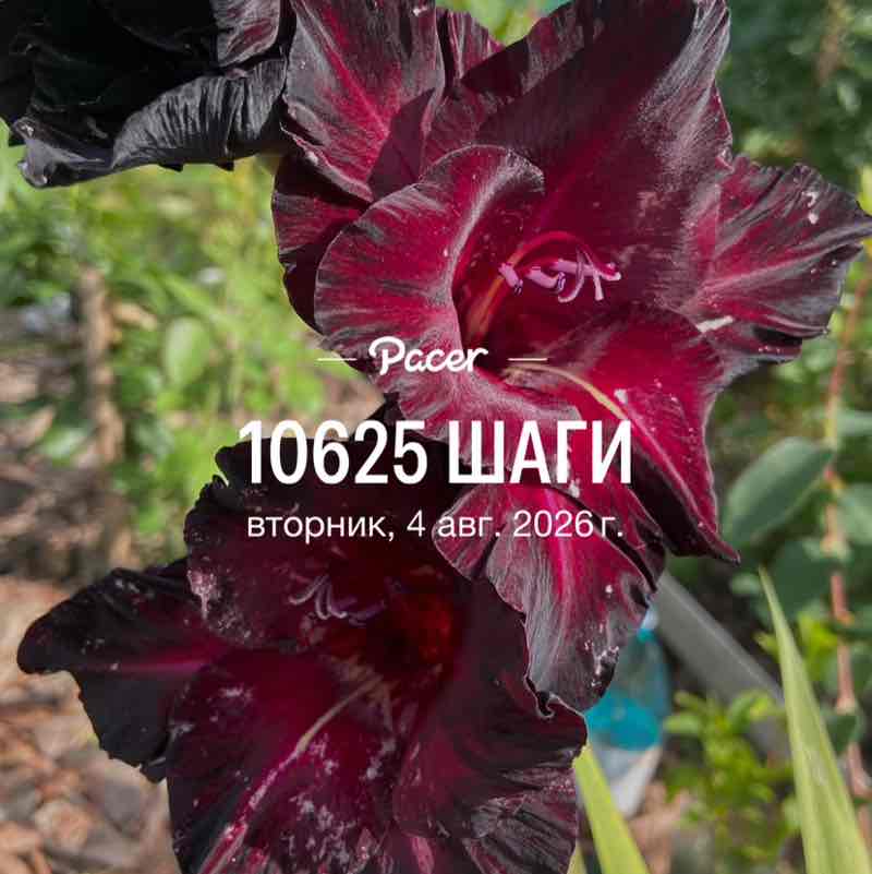 💃🏼💃🏼Елена✌️💃🏼 post 1