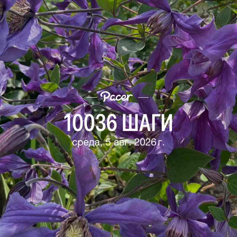 💃🏼💃🏼Елена✌️💃🏼 post 1