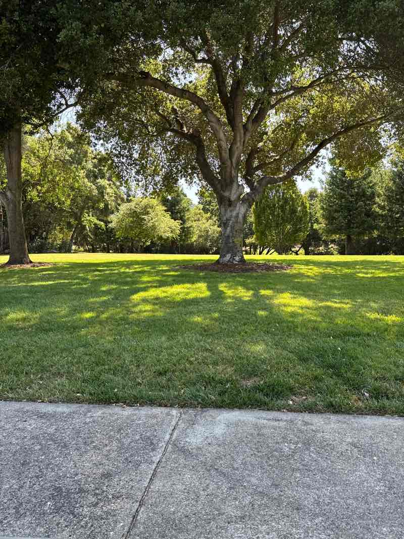 walking near me in Moller Park in summer