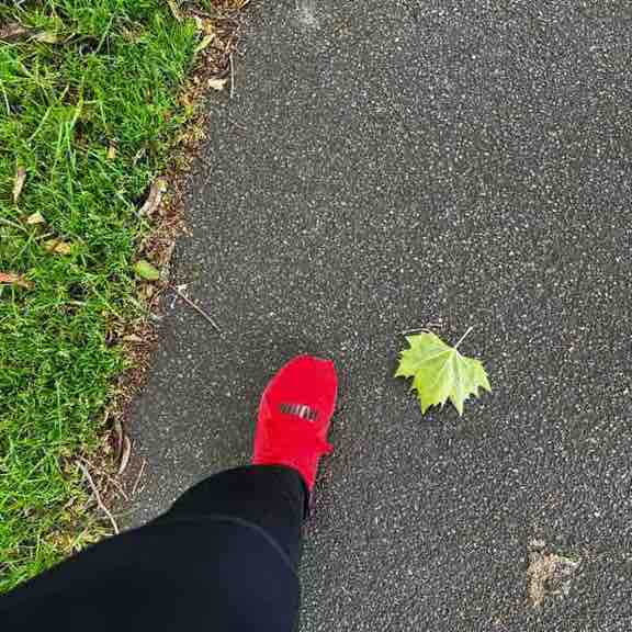 Sharon Taylor post 3