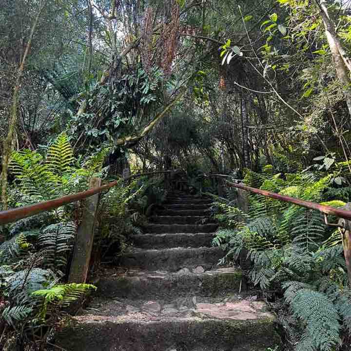 Sharon Taylor post 2