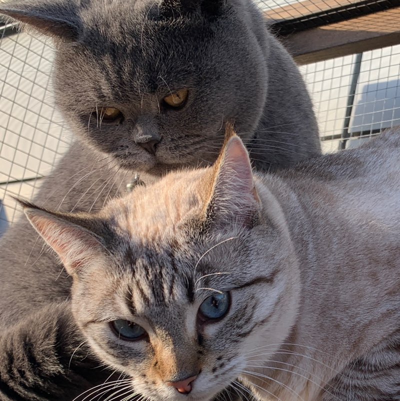 🦘manhattenmaid 🇦🇺