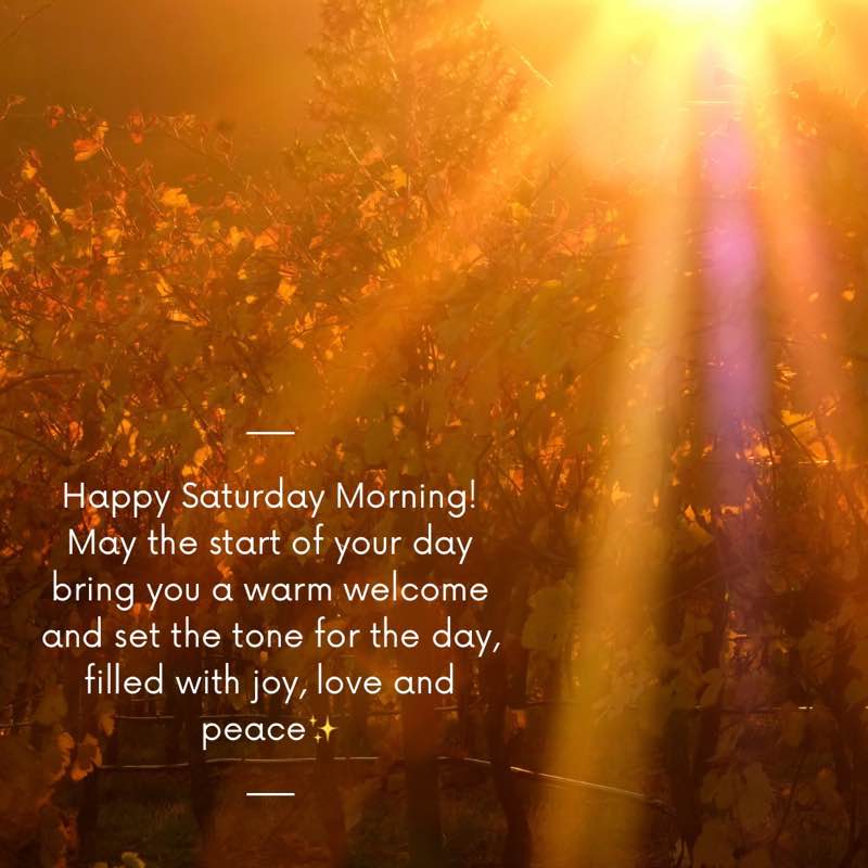 ꧁⚜️𝓗𝓞𝓝𝓞𝓤𝓡⚜️꧂ post 2