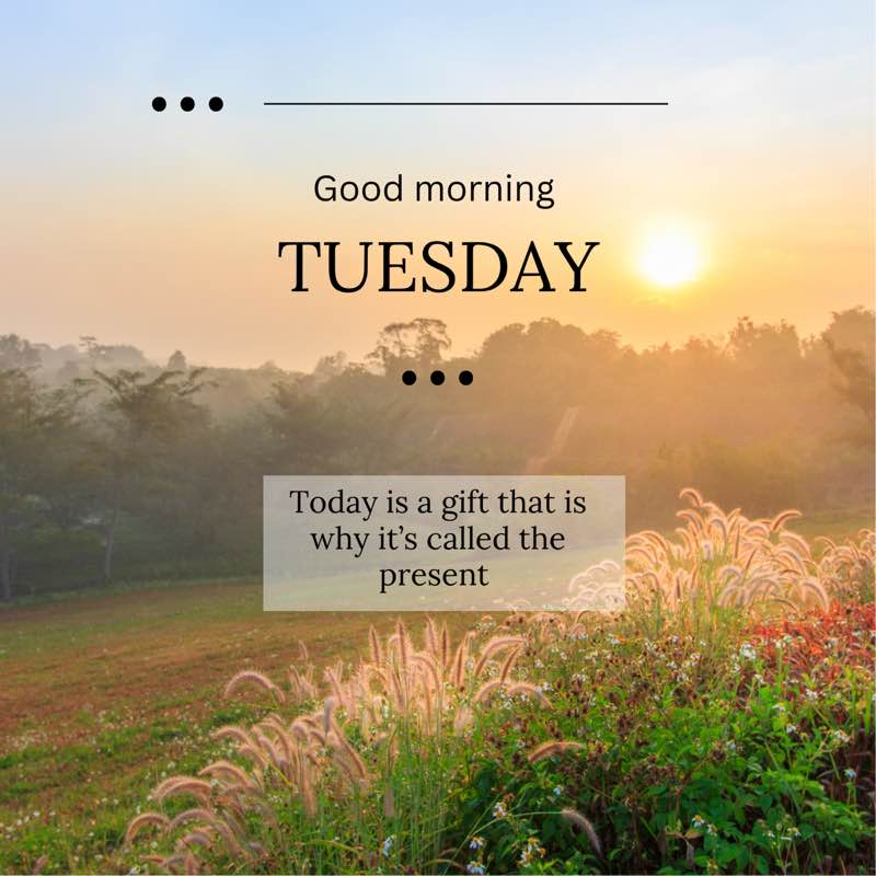 ꧁⚜️𝓗𝓞𝓝𝓞𝓤𝓡⚜️꧂ post 2