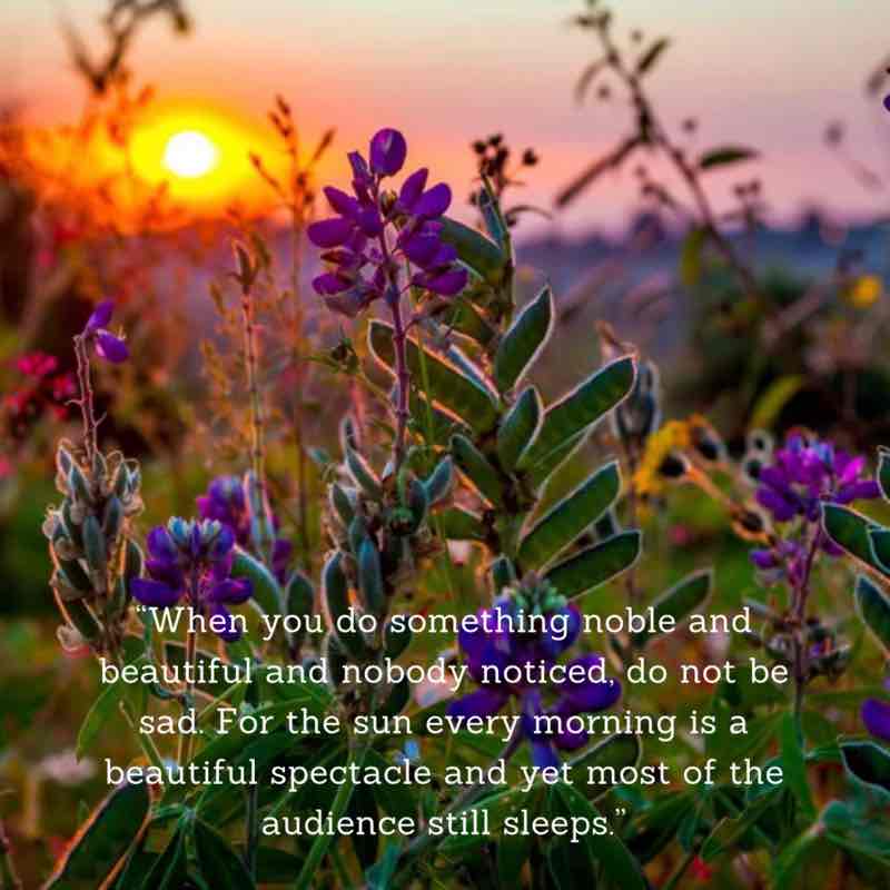 ꧁⚜️𝓗𝓞𝓝𝓞𝓤𝓡⚜️꧂ post 2