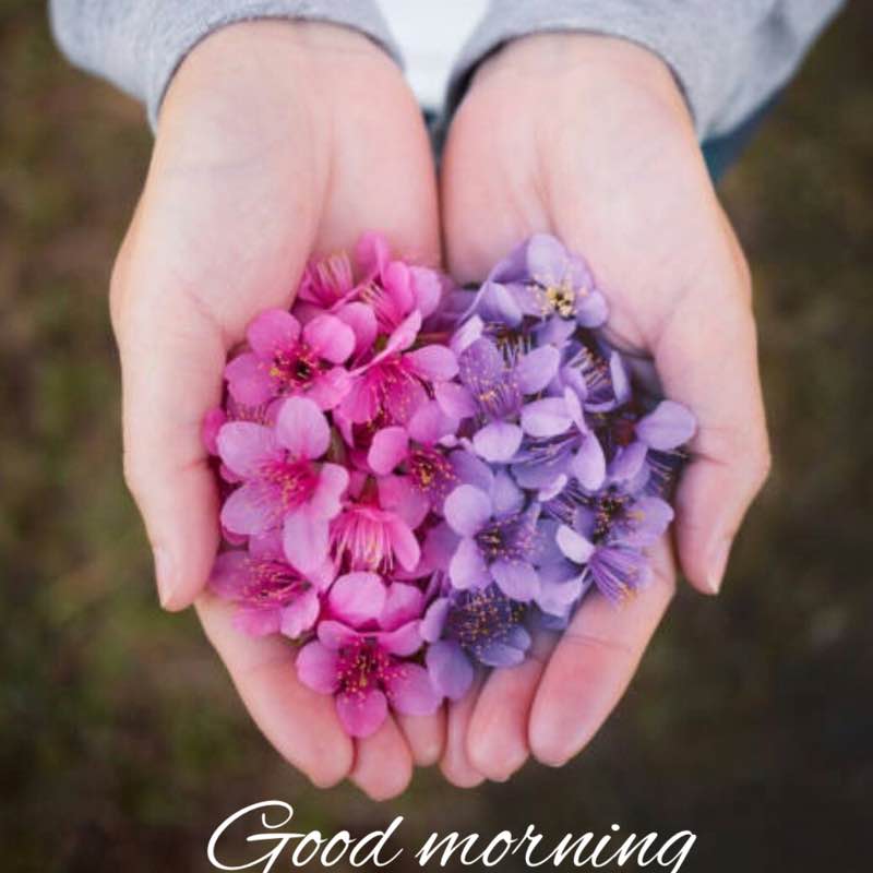 ꧁⚜️𝓗𝓞𝓝𝓞𝓤𝓡⚜️꧂ post 1