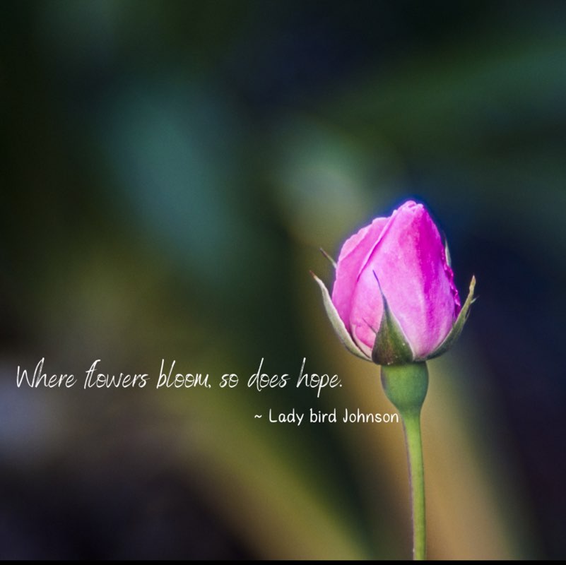 ꧁⚜️𝓗𝓞𝓝𝓞𝓤𝓡⚜️꧂ post 2