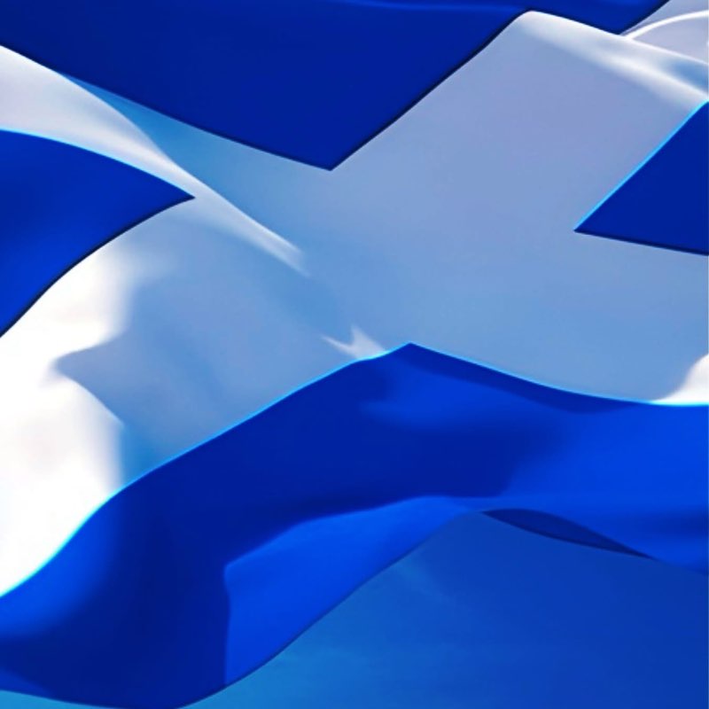 gilly 💙😎🐈‍⬛ profile