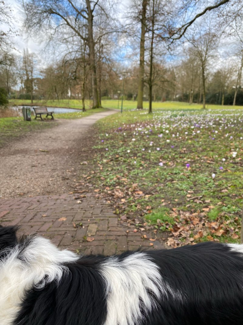 walking near me in Park de Wildbaan in winter