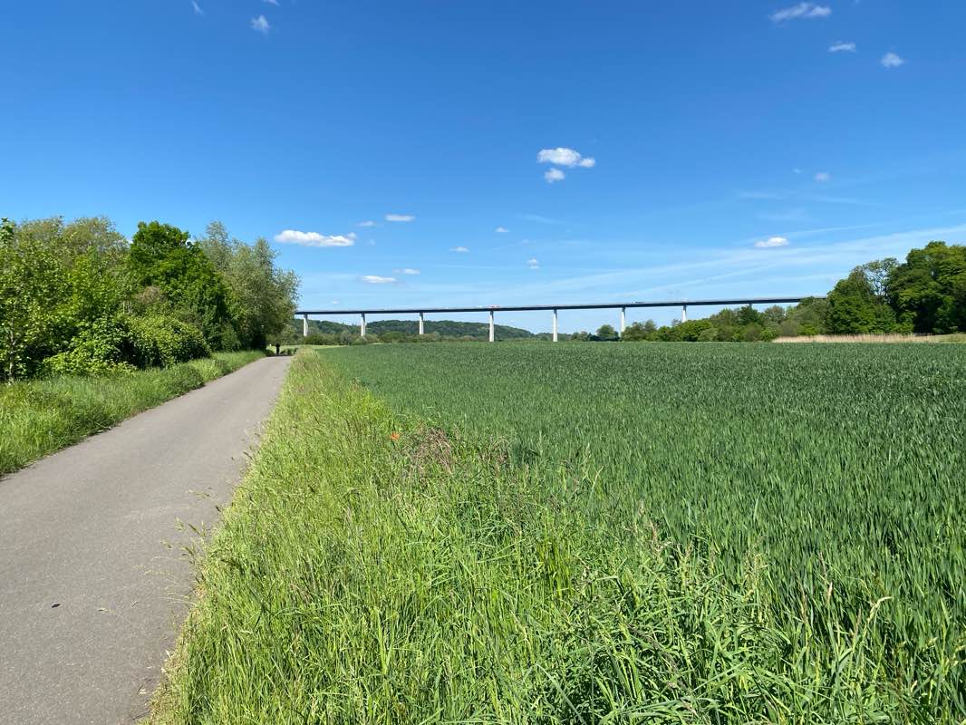 walking near me in Thyssenpark in spring