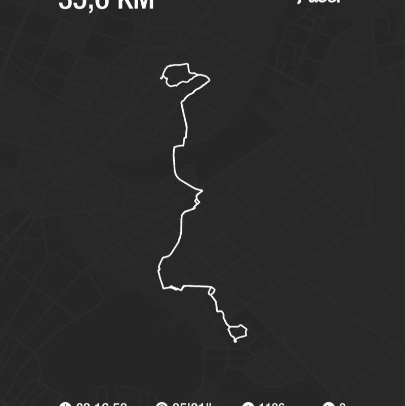 PacerTyp_1941 post 1