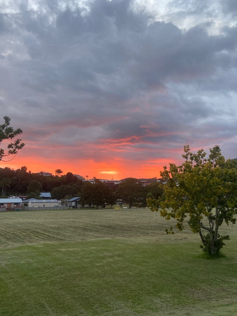 walking near me in Park Avenue Reserve in summer
