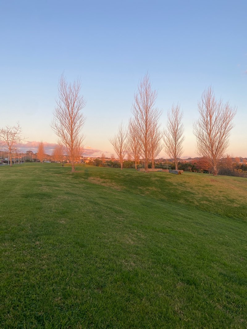 walking near me in Barry Curtis Park in winter