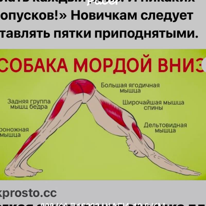 graf-baku-2007 post 1