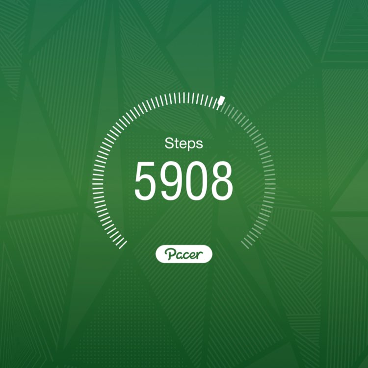 SunflowerPower🌻 post 1