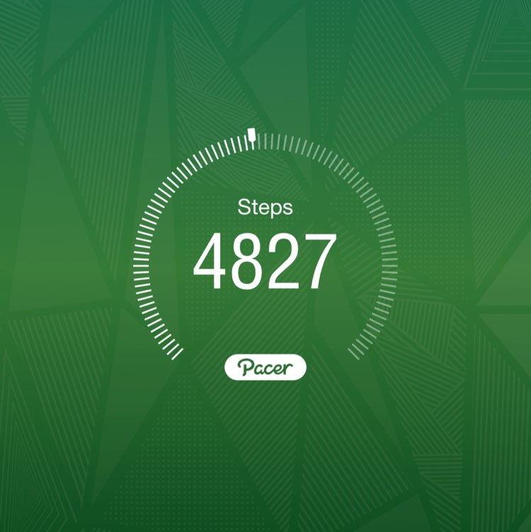 SunflowerPower🌻 post 1