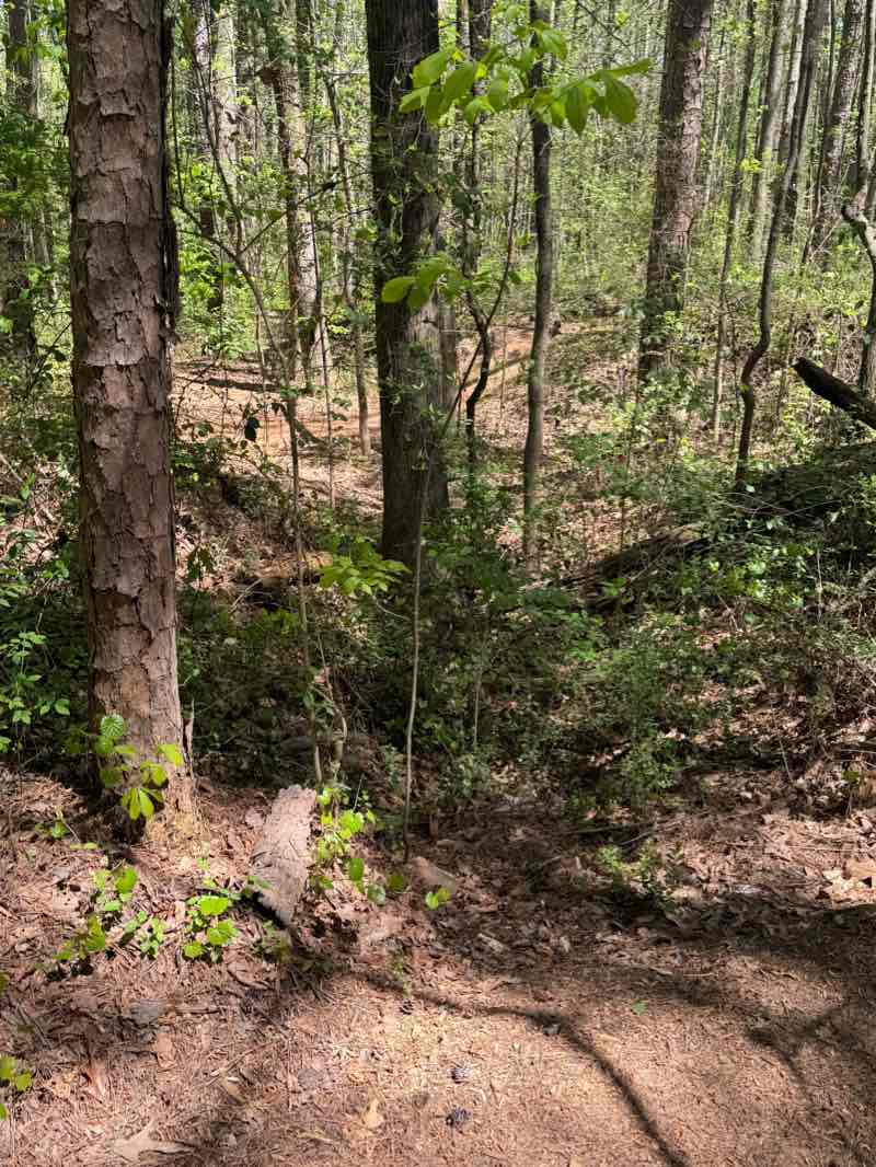 walking near me in Purser-Hulsey Park in winter