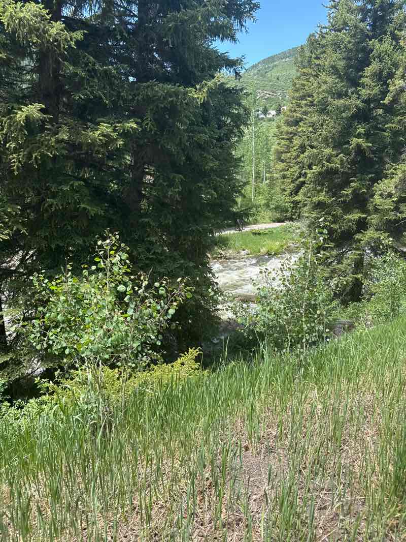 walking near me in Donovan Park in summer