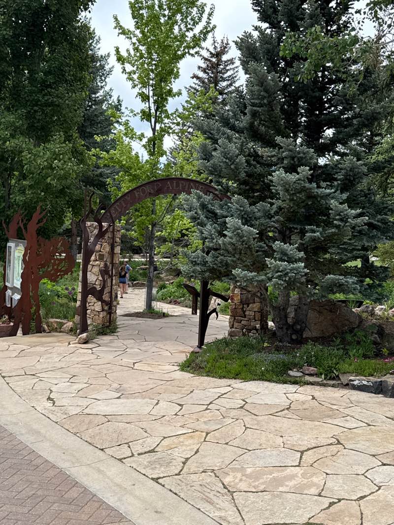 walking near me in Ford Park in summer