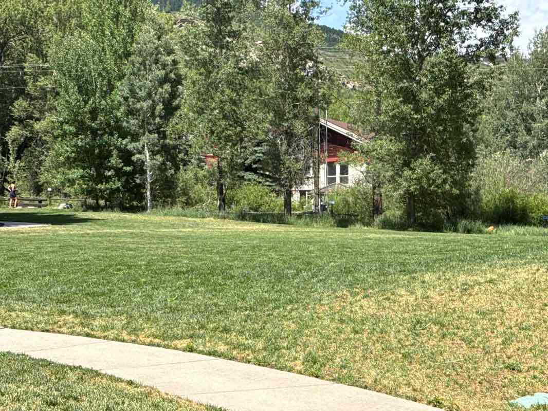 walking near me in Buffehr Creek Park in summer
