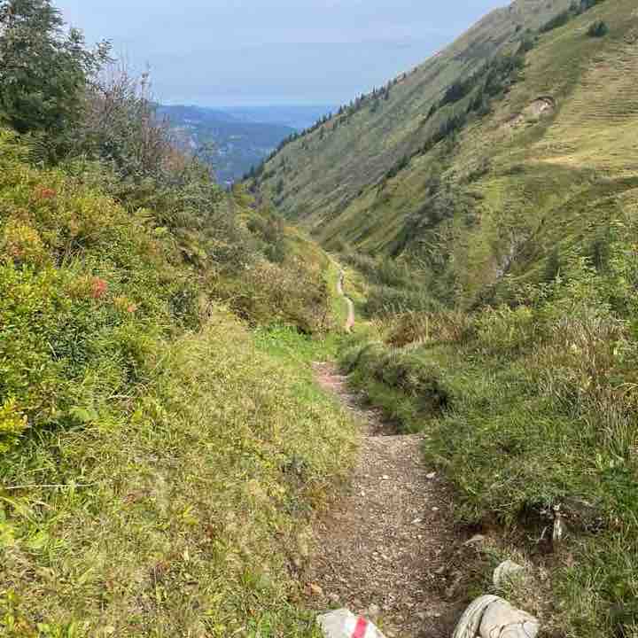 PowerDan🟢⚪️🏆🇩🇪 post 2