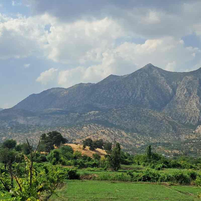 kamaranq post 3