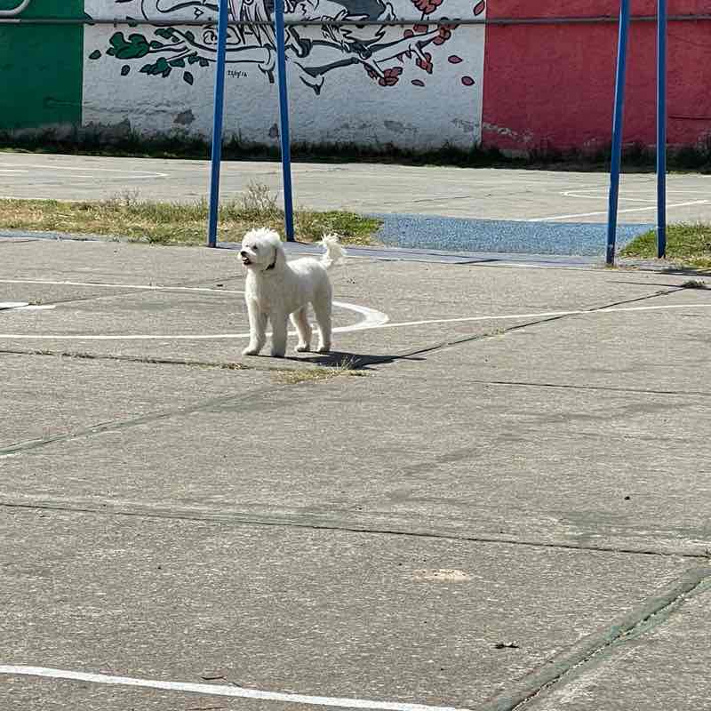 ROCKS🇲🇽 post 2