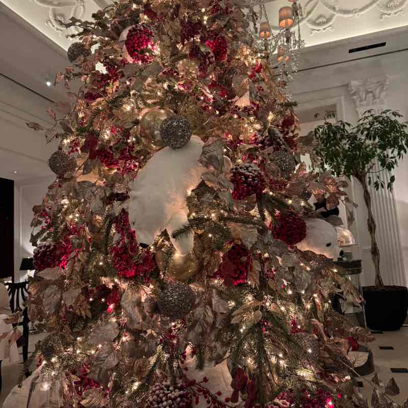 OT7⟭⟬⟬⟭ARMY 👑 ⁷ Naika 👑 post image