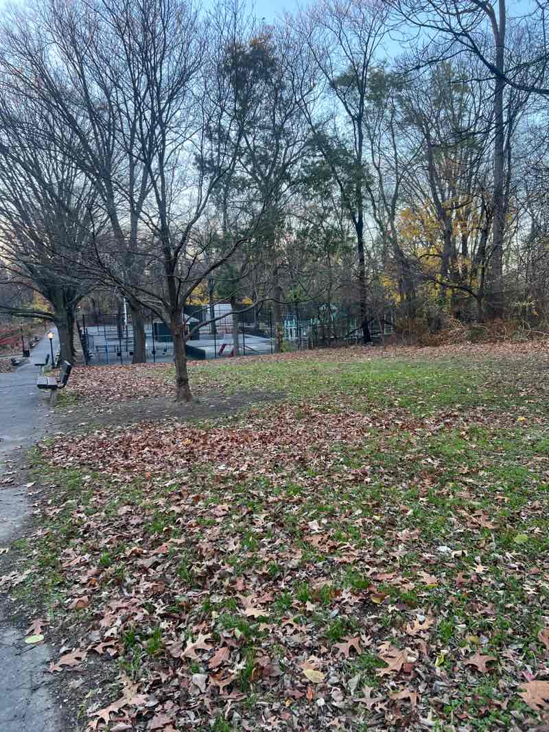 walking near me in Van Cortlandt Park in autumn