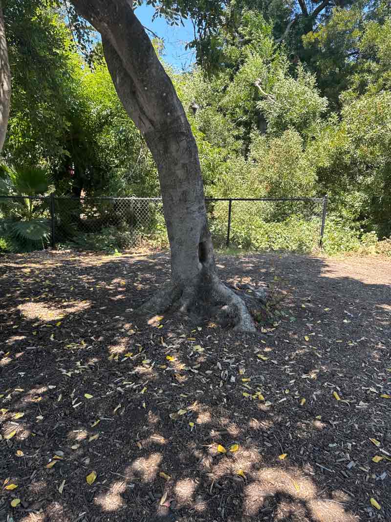 walking near me in Playground Fantastico in summer