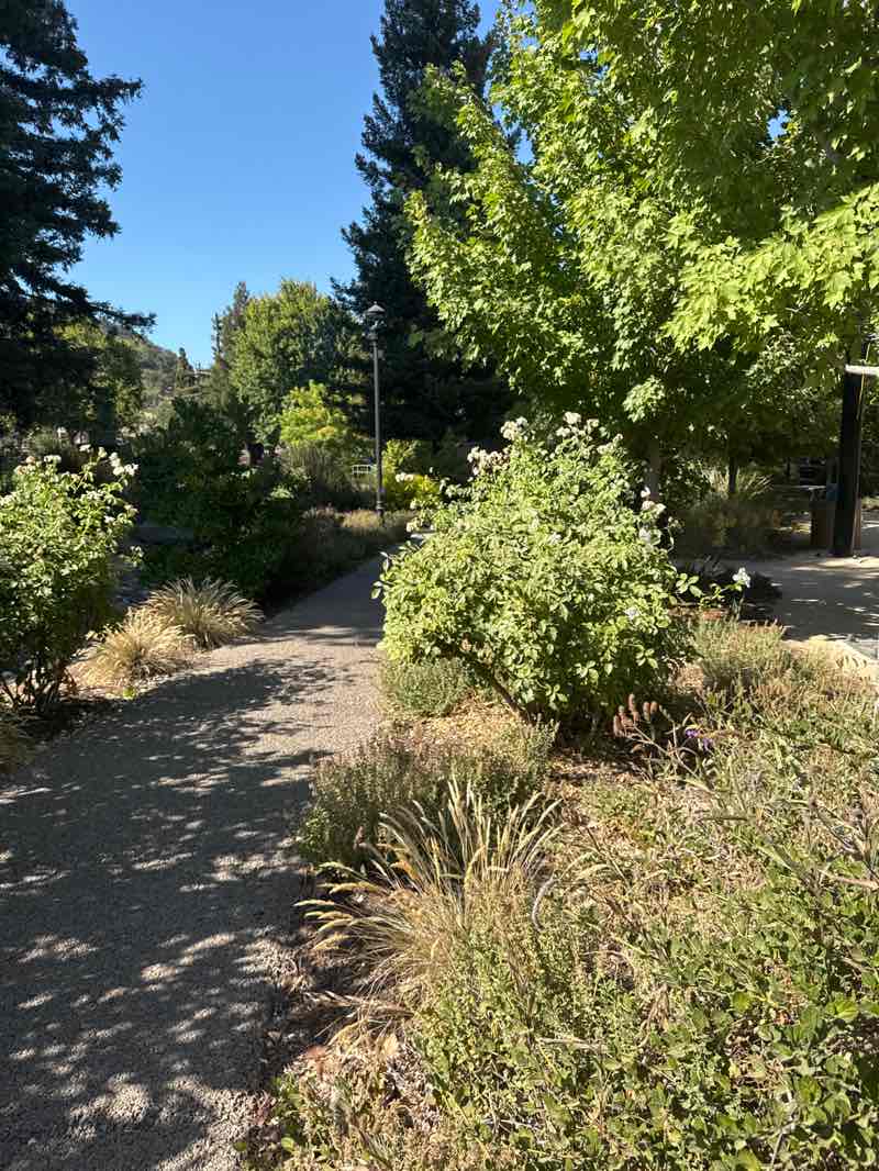walking near me in Yountville Park in autumn