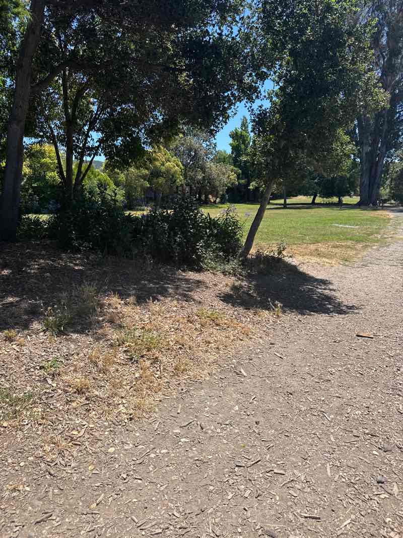 walking near me in Shurtleff Park in summer