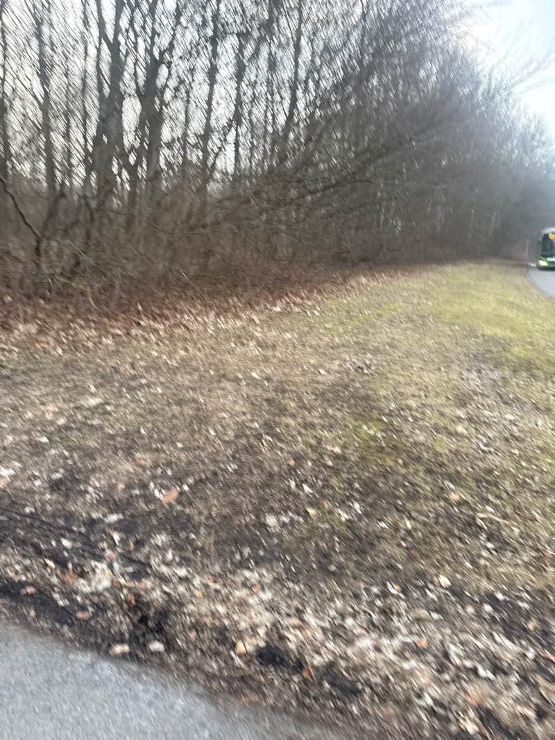 walking near me in Tre Högars park in spring