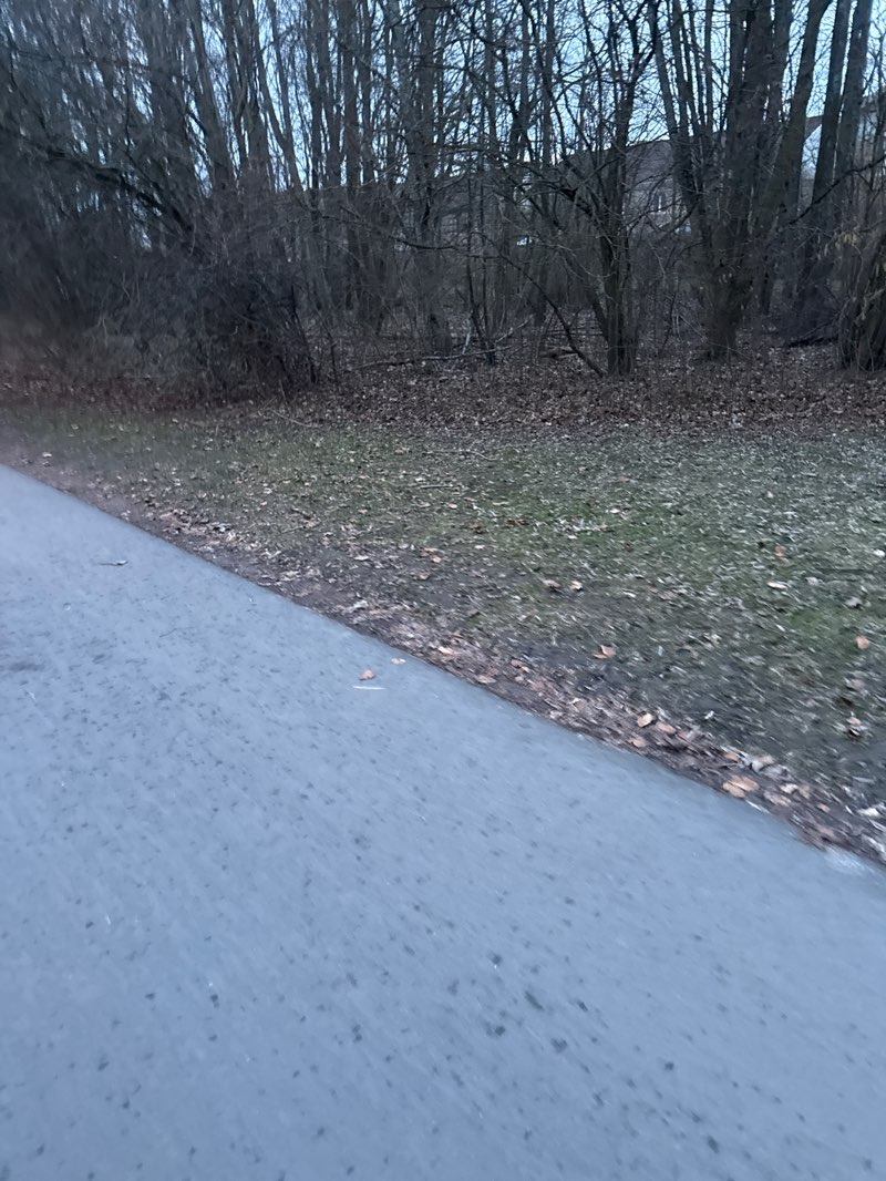 walking near me in Kollegieparken in spring